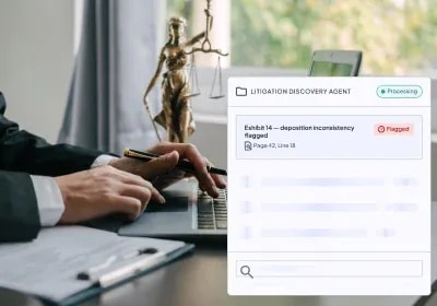 Litigation Discovery Agent
